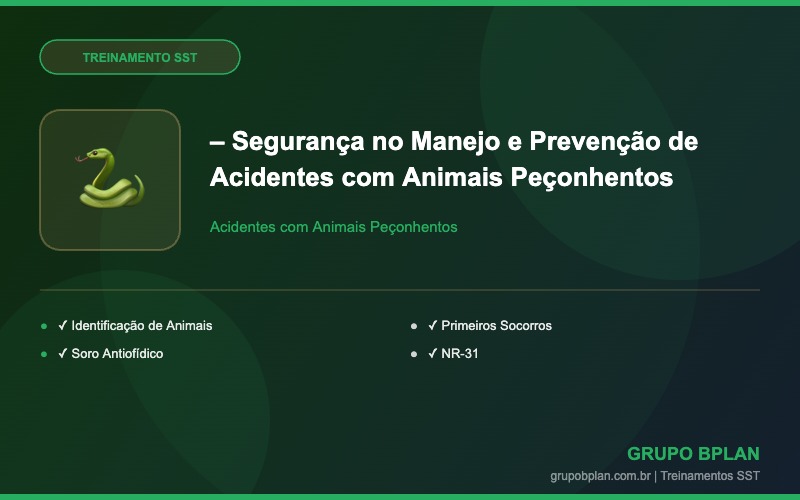 Logo Grupo Bplan - Saude Ocupacional e Seguranca do Trabalho