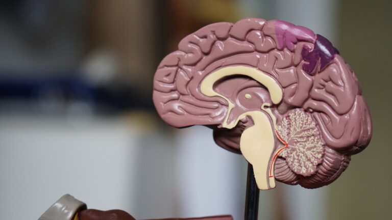 Taxas de Afastamento por Saúde Mental Batem Recordes: O Que as Empresas Precisam Fazer Agora