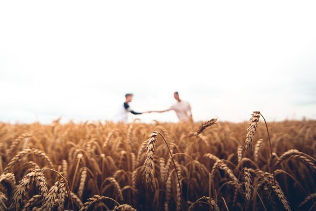 Trabalhador rural em atividade agrícola com segurança conforme NR-31